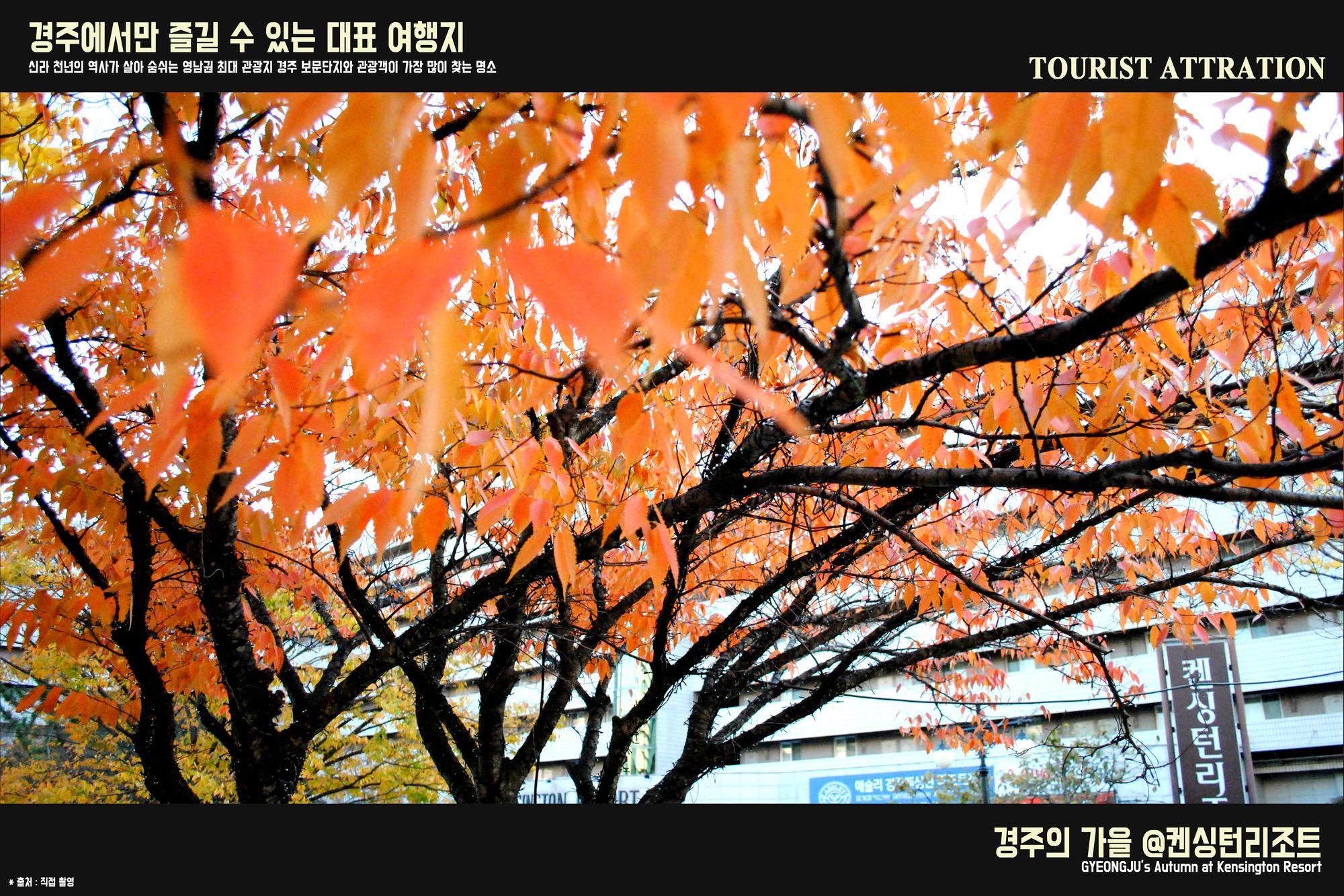 Kensington Resort Gyeongju Exterior photo